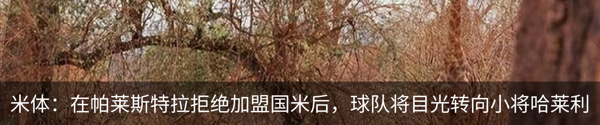 新闻中心